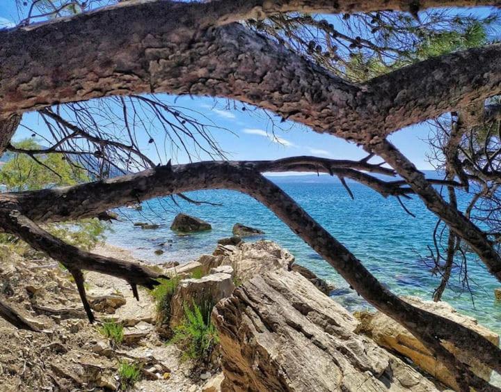 Apartmani Skejic Split Kültér fotó